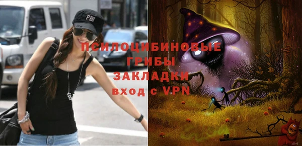 spice Кулебаки