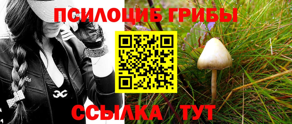 Псилоцибиновые грибы Magic Shrooms Лабытнанги