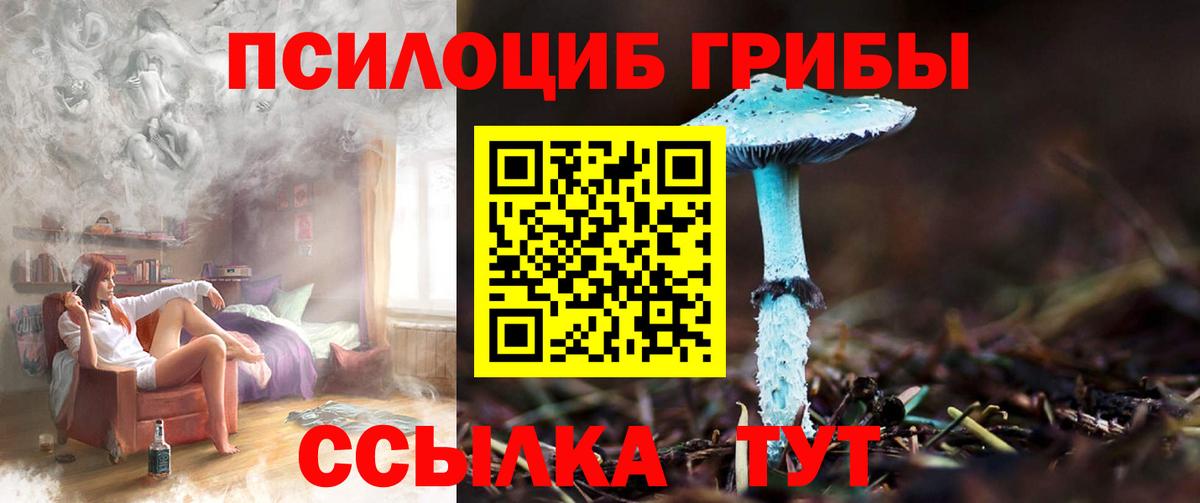 Галлюциногенные грибы GOLDEN TEACHER  купить наркоту  Вход с VPN  Лабытнанги  Псилоцибиновые грибы прущие грибы 